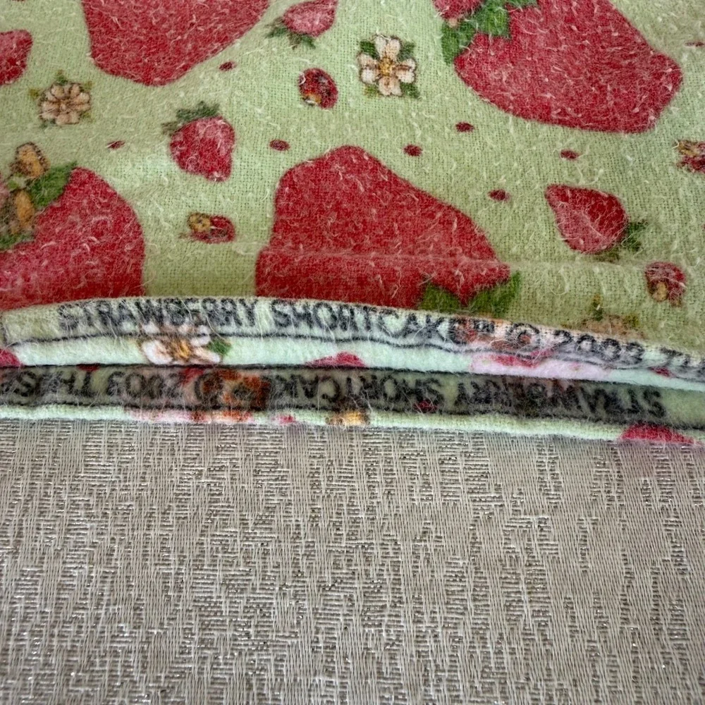 Vintage 2003 Strawberry Shortcake Green Flannel Blanket 43x32 Double Layer